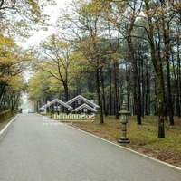 Chuyên Bán Bđs Nghỉ Dưỡng, Đất Farm Tại Ba Vì, Đa Dạng Lựa Chọn, Giá Cả Hợp Lý! 097.5555.334