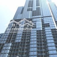 Khan Hiếm! Nhà 2 Mặt Tiền Ngay Khu Sân Bay , Quận Tân Bình-11 X 23M- Xd: Hầm +7 Tầng- 52 Tỷ Tl