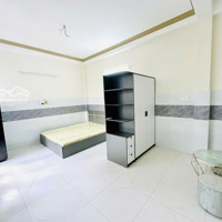 Chdv Siêu Rộng, Giá Siêu Rẻ Dịp Tết Ngay Trung Tâm
