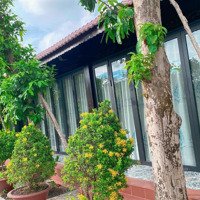 Bán Nhà Gỗ Khu Nghỉ Dưỡng , 25 Tỷ, 2624.6M2, Hàng Hiếm Tại Bình Thủy, Cần Thơ