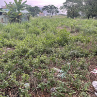 Đất Chính Chủ Bán Lô H, Pn2, Đường Nguyễn Văn Kỉnh, P.thạnh Mỹ Lợi, Q2-Tp.thủ Đức. Giá 179 Triệu/M2