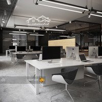 Siêu Phẩm Mặt Tiền Phan Đình Phùng, P 17, Phú Nhuận - 14X22M. Hầm, 8 Tầng. Hđt 440 Triệu/Th - Giá Bán 95 Tỷ