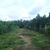 Siêu Phẩm Duy Nhất Tại Đường Bà Thiên, 6,3 Tỷ, 1050M2