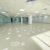 Cho Thuê Toà Nhà Đường Nam Kỳ Khởi Nghĩa 12M X 20M Hầm 5Lầu Thang Máy, Pccc