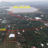 Gấp Mảnh Vườn Góc 2 Mặt Tiền 5062M2 Có Sẵn 200 Thổ Cư Ngay 2 Hồ Cầu Dầu Và Bàu Môn Giảm 40%