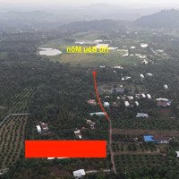 Gấp Mảnh Vườn Góc 2 Mặt Tiền 5062M2 Có Sẵn 200 Thổ Cư Ngay 2 Hồ Cầu Dầu Và Bàu Môn Giảm 40%