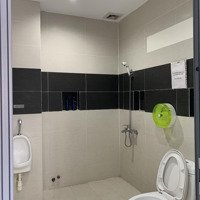 Biệt Thự 150M2 Him Lam Cho Thuê Nhanh 40 Triệu