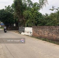 Bán Đất Đẹp Tại Đường Phù Mã, Sóc Sơn, Hà Nội.