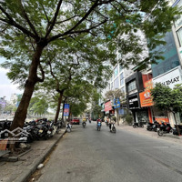 Nhà 8 Tầng Mp Nguyễn Khang, Cầu Giấy 68M2 X 5M Kinh Doanh Đỉnh . 2 Mặt Phố , Kinh Doanh Giá Bán 36.9 Tỷ