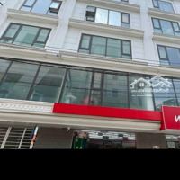 Hoot, Một Siêu Phẩm Mặt Phốdiện Tíchgần 100M2 Xây 7 Tầng Thng Tầng Dòng Tiền 700 Triệu/Năm Giá Bán 25 Tỷ