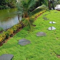 Lô Đất 1.500M2 Săn Mô Hình Nhà Vườn, Mặt Tiền Sông Lớn. Khu Nhà Vườn Sông, Đường Ô Tô. Giá 2, 6 Triệu/M2
