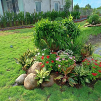 Lô Đất 1.500M2 Săn Mô Hình Nhà Vườn, Mặt Tiền Sông Lớn. Khu Nhà Vườn Sông, Đường Ô Tô. Giá 2, 6 Triệu/M2