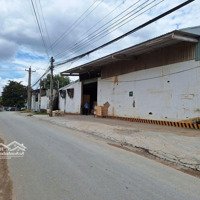 Đất Tặng Nhà Xưởng Đường Xe Container, P. Tân Bình, Tp. Dĩ An