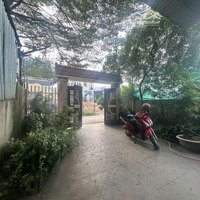Nhà Cấp 4 Đất Biệt Thự Gần Ngã Tư Linh Xuân, Giáp Linh Chiểu, 266M2, Shr, Giá Rẻ 24,5 Triệu/M2.