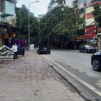 Mp Dương Văn Bé, Vỉa Hè, Ở Tốt, Đầu Tư Tốt, Vị Trí Tốt, Mặt Tiền 10M Cho 190M2 Chỉ 47,5 Tỷ