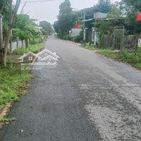 Đường Nhựa Khu Dân Cư Đông Đúc Có 100M2 Thổ Cư