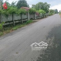 Đường Nhựa Khu Dân Cư Đông Đúc Có 100M2 Thổ Cư