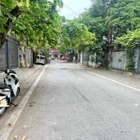 Bán Biệt thự phố VIP Quận Tây Hồ. Diện tích 239m², mặt tiền 11m