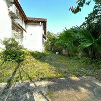 Vip Biển! Bán Đất Tặng Quánmặt Tiềnchế Lan Viên, Q. Ngũ Hành Sơn, 530M2, 36.5 Tỷ
