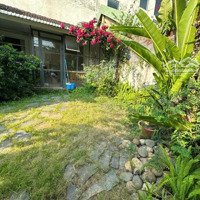 Vip Biển! Bán Đất Tặng Quánmặt Tiềnchế Lan Viên, Q. Ngũ Hành Sơn, 530M2, 36.5 Tỷ
