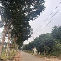 Bán Đất Tặng Nhà Tiền Chế 5X20M, Mặt Tiền Đường 23, Hoà Long
