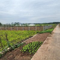 Bán Đất Tại Tỉnh Lộ 419, Long Xuyên, Phúc Thọ, Hà Nội, 580 Triệu, 1000M2 Giá Cực Chất