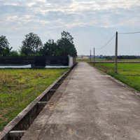 Bán Đất Tại Tỉnh Lộ 419, Long Xuyên, Phúc Thọ, Hà Nội, 580 Triệu, 1000M2 Giá Cực Chất