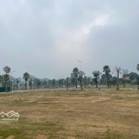 Chính Chủ Cần Bán 02 Lô Liền Kề Tại Dự Án Centre Ville Lương Sơn, Giá Tốt Nhất Thị Trường Miễn Mg