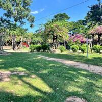 Đất mặt tiền đường nhựa liên huyện Bình Dương giá siêu tốt