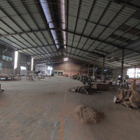 Cho Thuê Xưởng 2200M2. Tiếp Gỗ Hàng Trắng, Đường Xe Công, Thuận An, Bình Dương