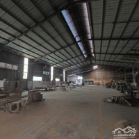 Cho Thuê Xưởng 2200M2. Tiếp Gỗ Hàng Trắng, Đường Xe Công, Thuận An, Bình Dương