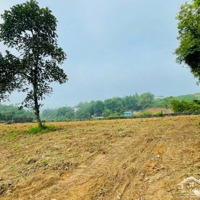 Cắt Lỗ Bán Giá Rẻ Một Nửa Với Thị Trường, Đất Tại Nhuận Trạch Lương Sơn Hoà Bình Giá Chỉ 3 Triệu/M2