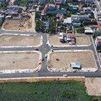 Bán 2 lô đấu giá Bái Trong Hoa Động Thủy Nguyên Hải Phòng