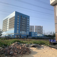 Bán 1.056M2 Đất Đường Trần Thị Năm, P. Tch, Ngay Bv Quận 12 Giá Chỉ 8.5 Tỷ ( 8 Triệu/M2)