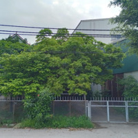 Bán 232,8M2 Đất Chính Chủ +100M2 Đất Lưu Không, Mặt Đê Sông Đuống Du Nội, Mai Lâm, Đông Anh, Hn