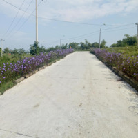 Bán 232,8M2 Đất Chính Chủ +100M2 Đất Lưu Không, Mặt Đê Sông Đuống Du Nội, Mai Lâm, Đông Anh, Hn