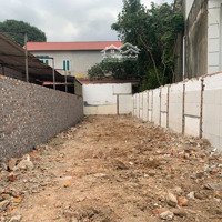 Trục Chính Đôn Hậu - P. Khai Quang - Tp. Vĩnh Yên- Vĩnh Phúc.
