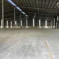 Cho Thuê 4.000m2 Kho Xưởng Ngoài KCN Bàu Bàng Bình Dương