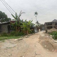 Bán Đất 286M2 Có Nhà Cấp 4 Chính Chủ Tại Thôn Phù Niệm, Xã Thái Sơn