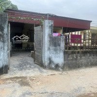 Bán Đất 286M2 Có Nhà Cấp 4 Chính Chủ Tại Thôn Phù Niệm, Xã Thái Sơn