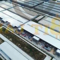 Cho Thuê Kho Xưởng Trong Kcn Long Thành, Pháp Lý Chuẩn, Pccc, Giá Rẻ, Phù Hợp Sản Xuất