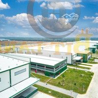 Cho Thuê Kho Xưởng Trong Kcn Long Thành, Pháp Lý Chuẩn, Pccc, Giá Rẻ, Phù Hợp Sản Xuất