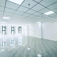 Cho Thuê Tòa Nhà Mặt Tiền Bạch Đằng, P2, Tân Bình,Diện Tích7X28M, 1 Hầm, 1 Trệt, 1 Lửng, 6 Lầu, St