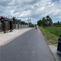 Cần Bán Nhanh Lô 157M2 Full Thổ Cư 410 Triệu Ngay Khu Phố Gia Tân, Gia Lộc, Trảng Bàng