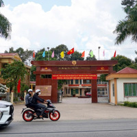 Tặng Ngay Xe Máy Air Black, Vàng Sjc 9999 Khi Đăng Ký Tham Quan Đất Tân Long Phú Giáo Bd Giá Ưu Đãi