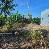 Cần Ra Đi Lô Đất Đ.võ Duy Ninh Gần Chợ Long Toàn,Bà Rịa, Vũng Tàu 120M2/ 900 Triệuiệu .Sổ Sẵn