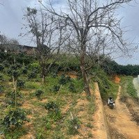 Với 1.5 Tỷ Có Ngay Đất Ở Tp. Đà Lạt, Cách Ql 20 500M, Đường Ô Tô. Khu Dân Cư Hiện Hữu
