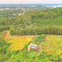 Bán Đất Vườn View Hồ Trị An. Chủ Ngộp Tới Cổ Cần Đi Gấp