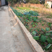 Bán Đất Tại Tân Minh, Sóc Sơn, Hà Nội, 1,2 Tỷ, 94M2, Pháp Lý Đầy Đủ