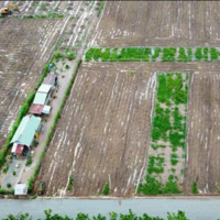 10 Lô Đất Chính Chủ Cần Bán, Mỗi Lô 500M2, Có Sổ Hồng Riêng, Ngân Hàng Hỗ Trợ
